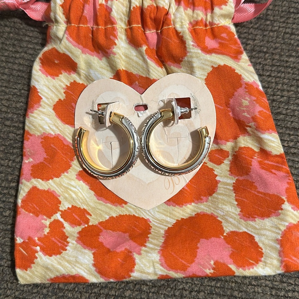 Venezia Hoop Post Earrings